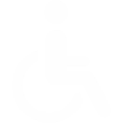 disabled icon